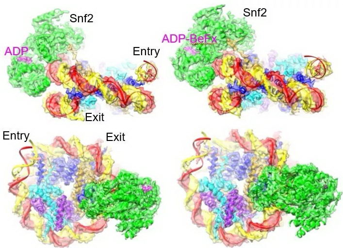 1552557718134147.png image.png