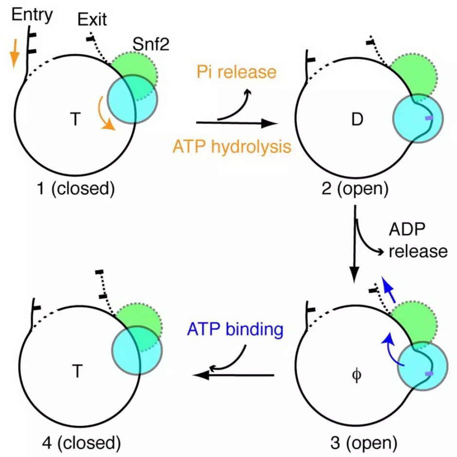 1552557836140494.png image.png